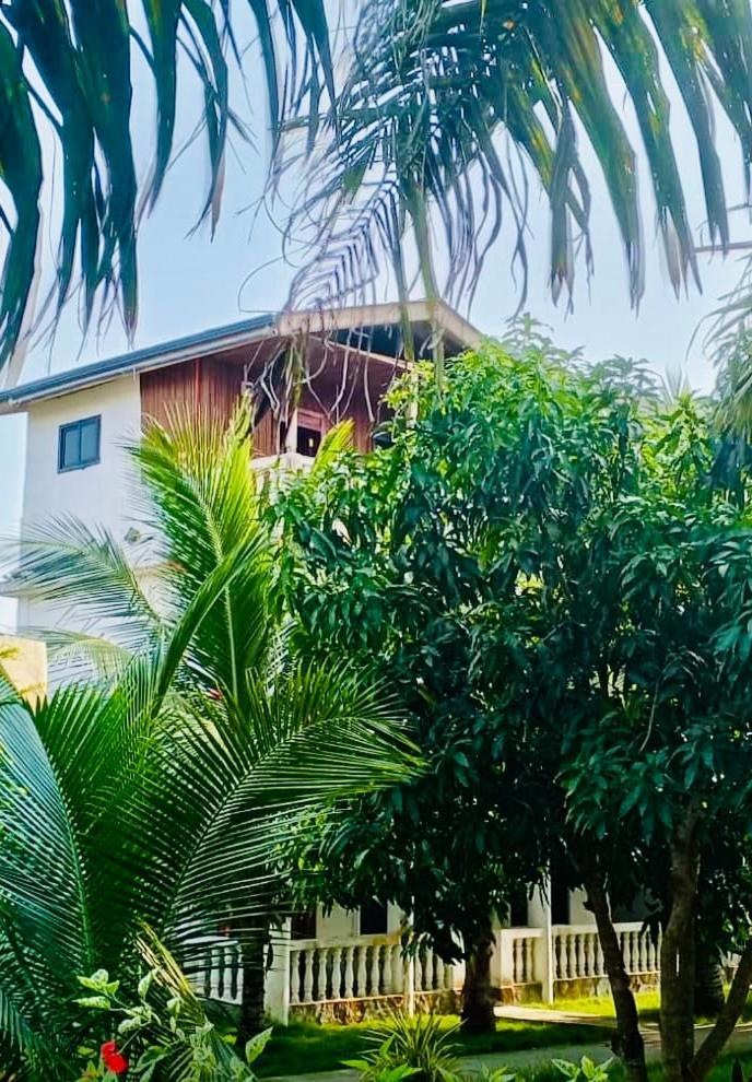 Serenity Haven Lodge Busua Dış mekan fotoğraf
